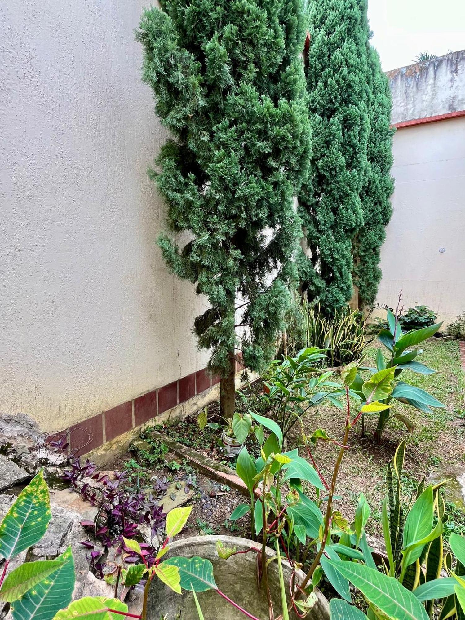 Privatunterkunft Casa Boutique Cali